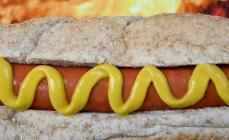 Poslovni plan za kiosk za hot dog Šta vam je potrebno da otvorite šator za hot dog