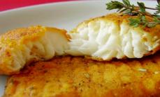 Catfish: recipes with photos