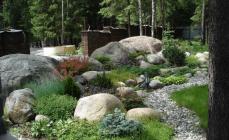 DIY rockery - a spectacular stone garden in the middle of the lawn