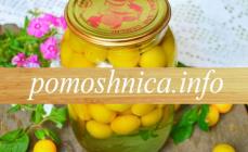 How to prepare cherry plum for the winter: golden recipes with pictures How to make cherry plum juice for the winter